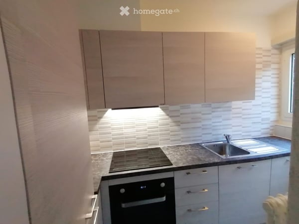 Lugano-Vezia nel verde, zona tranquilla affitto 2.5 locali 5