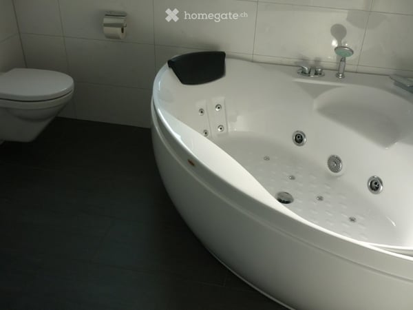 Tolle 3,5 Zimmer Dachwohnung 4