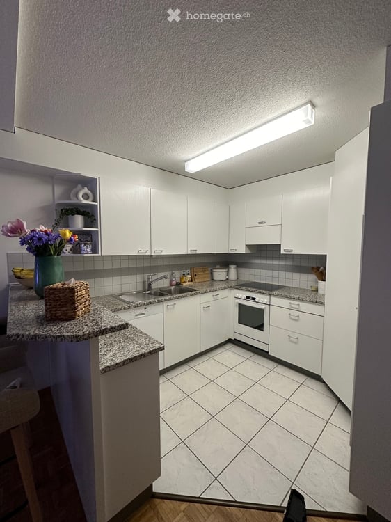 3 ½ Zimmer-Wohnung 2