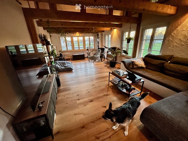 WG-Zimmer in einem tierfreundlichen Haus mit grossem Garten 4
