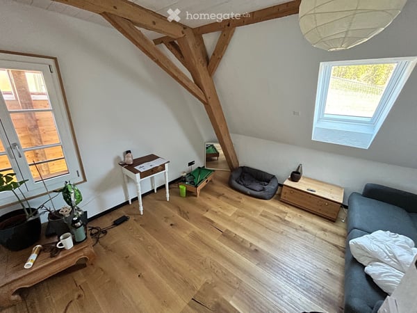 WG-Zimmer in einem tierfreundlichen Haus mit grossem Garten 5