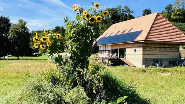 WG-Zimmer in einem tierfreundlichen Haus mit grossem Garten 3