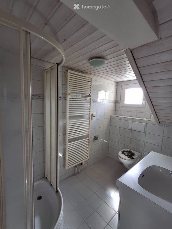 3 Zimmer Dachwohnung 4
