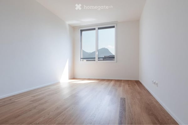 Appartamento 2.5 Massagno 3