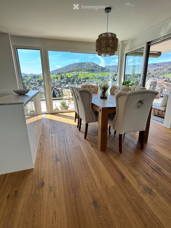 Neubau-Attika mit direktem Lift und 100 m² Sonnenterrasse 2