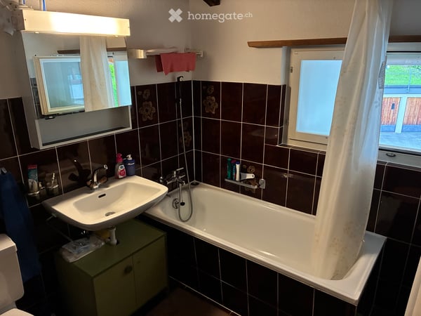 1.5 Zi. Wohnung 55m2 mit Autounterstand 3