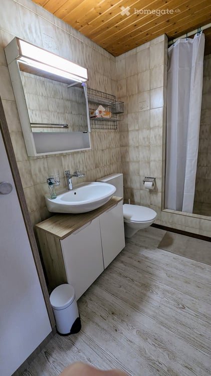 Vollmöblierte 1.5 Zimmer-Wohnung zu vermieten 5