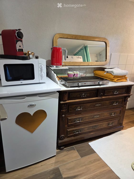 Einliegerstudio in EFH, Waldrand, 8 Min/Fuss Bahnhof 5