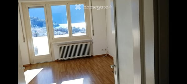Cerco subentrante per un monolocale di 1.5 locali a Massagno 3