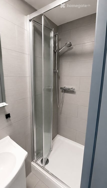 Studio meublé au Quartier Plainpalais 4
