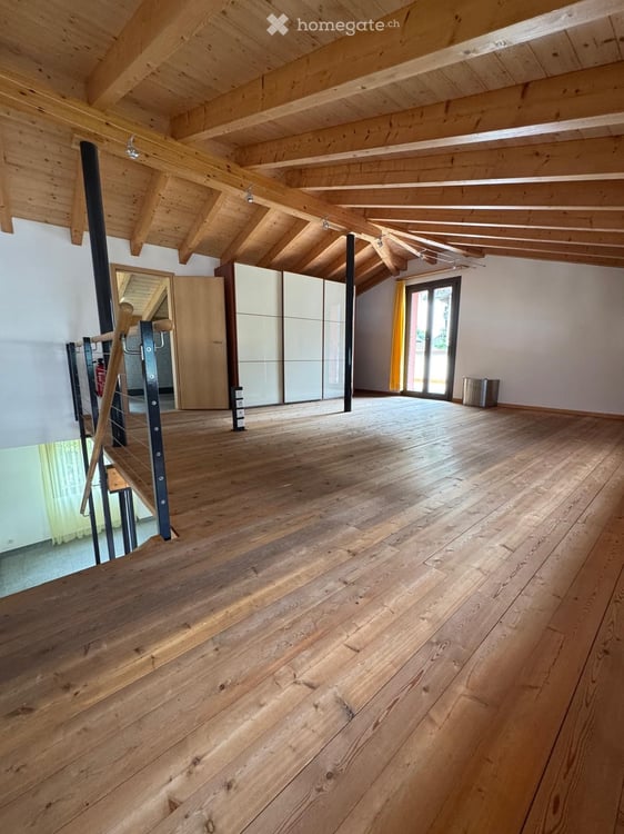 Splendido Duplex 3.5 Locali con terrazza e ampio giardino 3