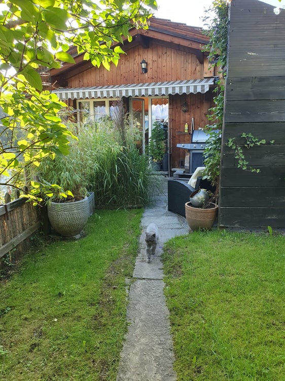 4-Zimmerwohnung zu vermieten in Beatenberg 4