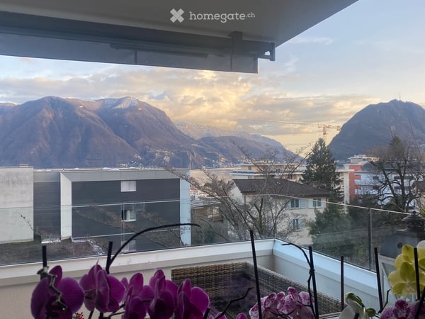 Appartamento 3.5 locali Lugano 5