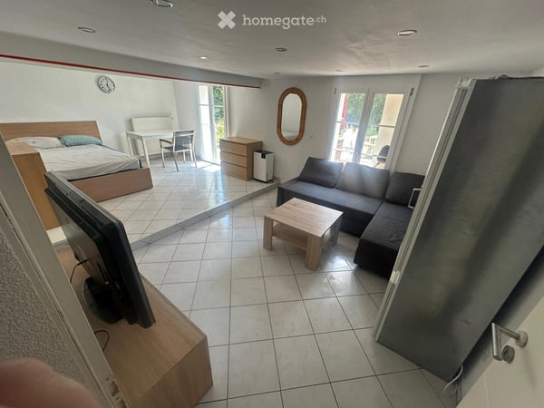 Wohnstudio mit grosser Terrasse 1