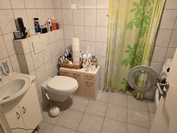Wohnstudio mit grosser Terrasse 5