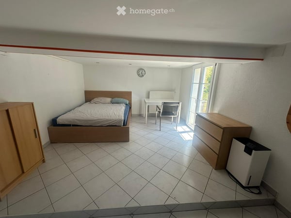 Wohnstudio mit grosser Terrasse 3