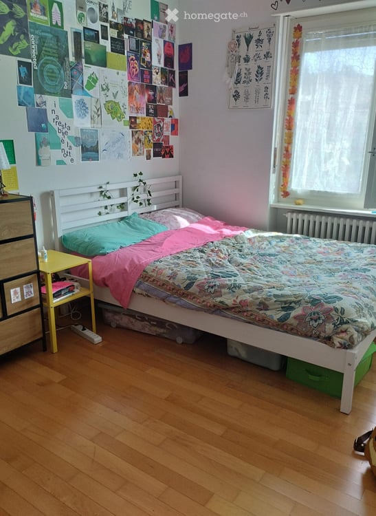 Cercasi urgentemente subentrante in appartamento a Mendrisio 4