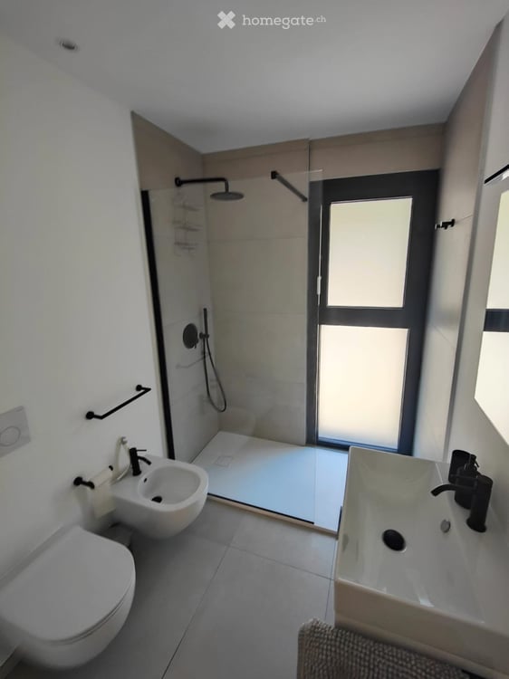 Accogliente appartamento ammobiliato di 3,5 con terrazzo 4