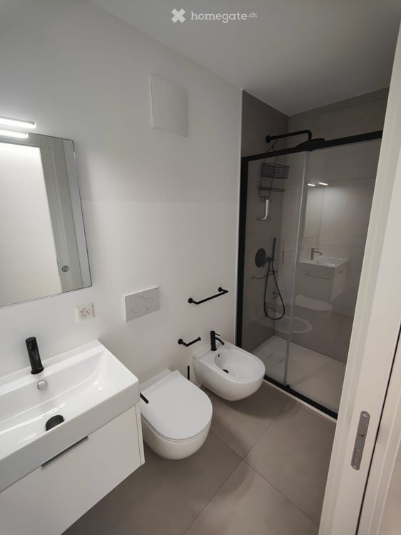 Accogliente appartamento ammobiliato di 3,5 con terrazzo 2