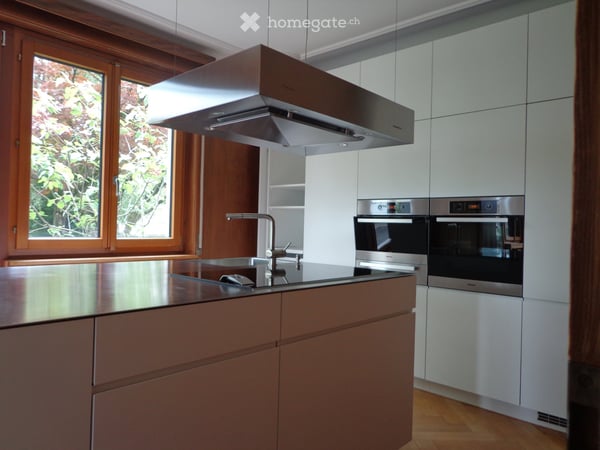 8½-Zi Familien-Stadt-Wohnung im Grünen 2
