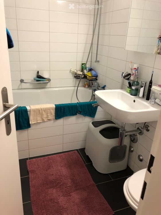 Nachmieter ab September für 3.5-Zimmer-Wohnung gesucht 3
