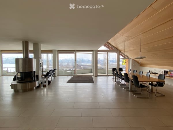 Grosse Attika-Wohnung 3