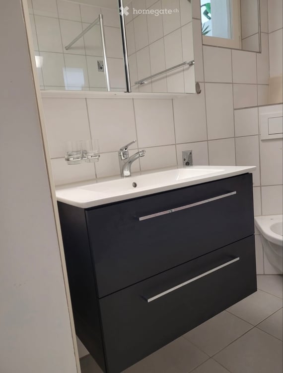 3 Zimmer Wohnung EG Lommiswil 2