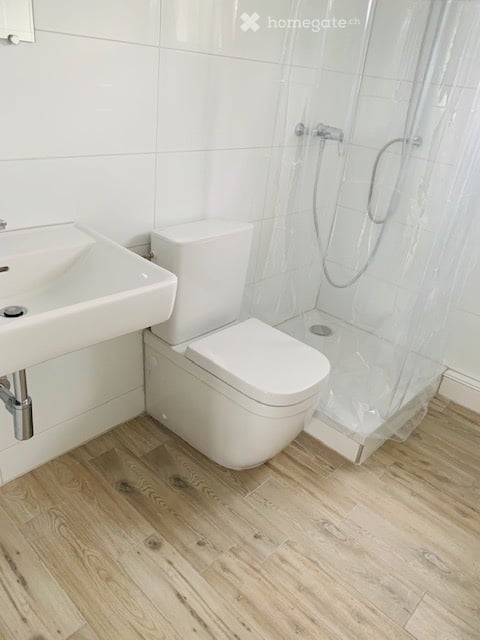 5-Zimmer Chalet EFH mit grosser Sonnenterrasse & Gewerberaum 2