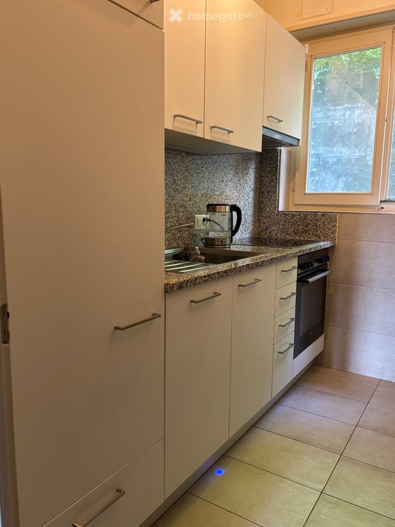 3.5 room apartment in Besso 5