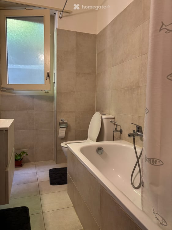 3.5 room apartment in Besso 5