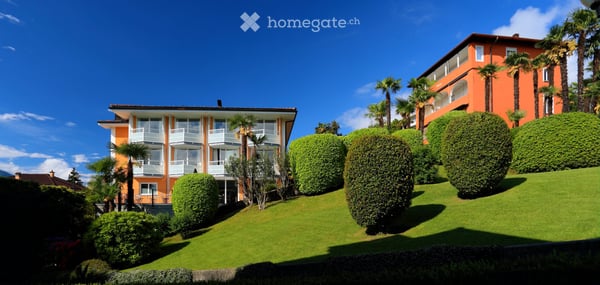 Ascona - Affittiamo bell'appartamento in collina 2