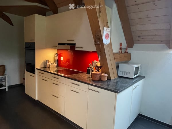 Dachwohnung in Bauernhaus 2