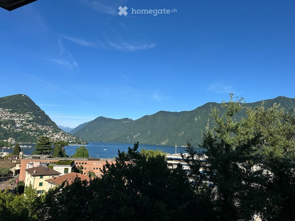Cerco un subentrante per quadrilocale a Lugano Loreto 3