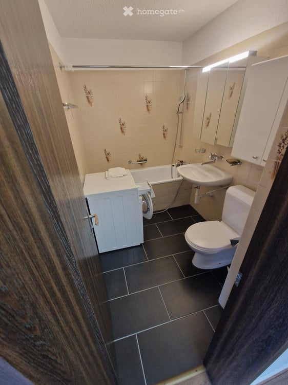 Charmante 1.5 Dachwohnung mit Bergsicht in Thun 5