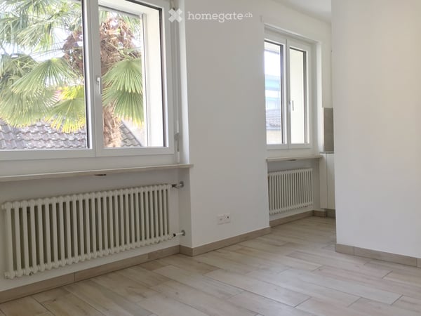 APPARTAMENTO 2 LOCALI A TENERO-LOCARNO incl. spese 2