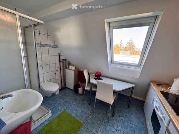 Möblierte 1 Zimmerwohnung 4