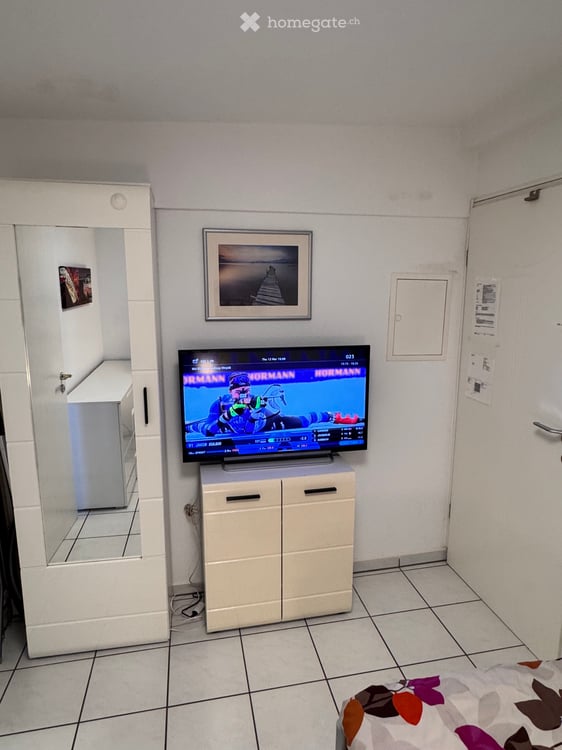 Möblierte 1 Zimmerwohnung 9