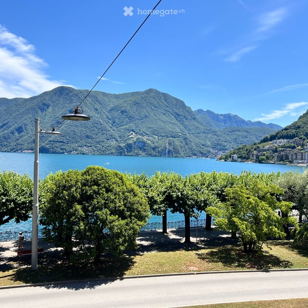 Beautiful renovated apartment front line to the lake 19
