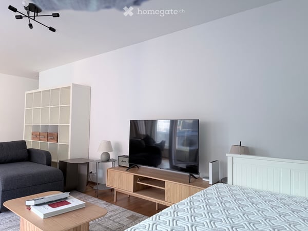 2-Zimmer Möblierte Wohnung zur Miete  Top Lage beim Bahnhof 2