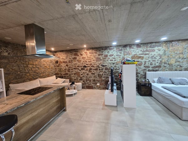 Moderne 2.5-Zimmer-Loft mit Natursteinwänden & Kochinsel 1