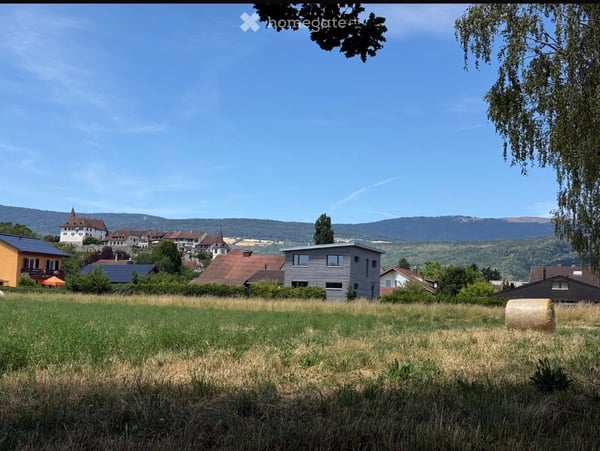 Erlach