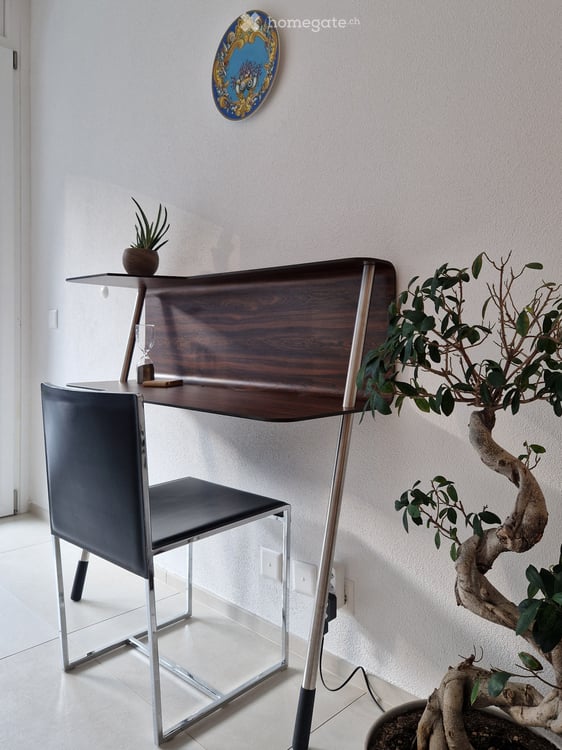 Modern 3-Room Apartment in Lugano Cadro 3