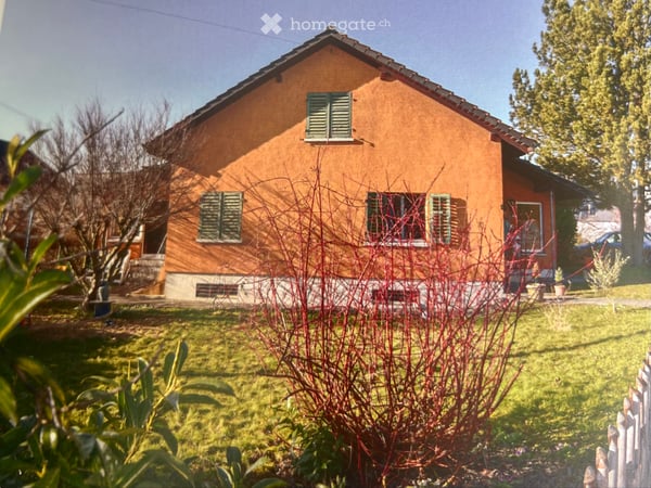 Freistehendes Einfamilienhaus mit grossem Garten 2