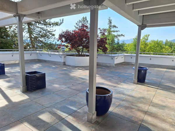 5.5-Zimmer-Wohnung mit grosszügiger Dachterrasse 1