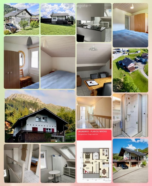 Nachmieter gesucht 5