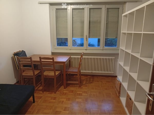 Subentrante 1.5 locali Lugano 1