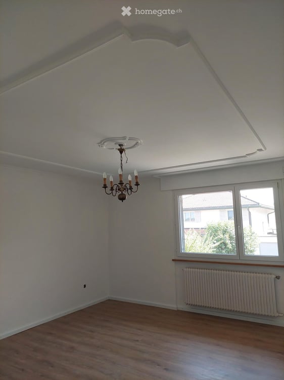 11 1/2 Zimmer Einfamilienhaus mit Gewerberaum 3