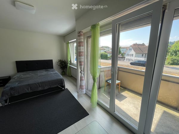 1.5-Zimmer-Apartments in Dietikon 3