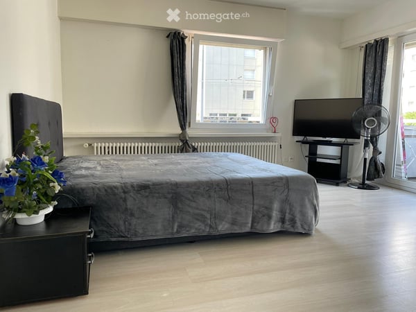 1.5-Zimmer-Apartments in Dietikon 4