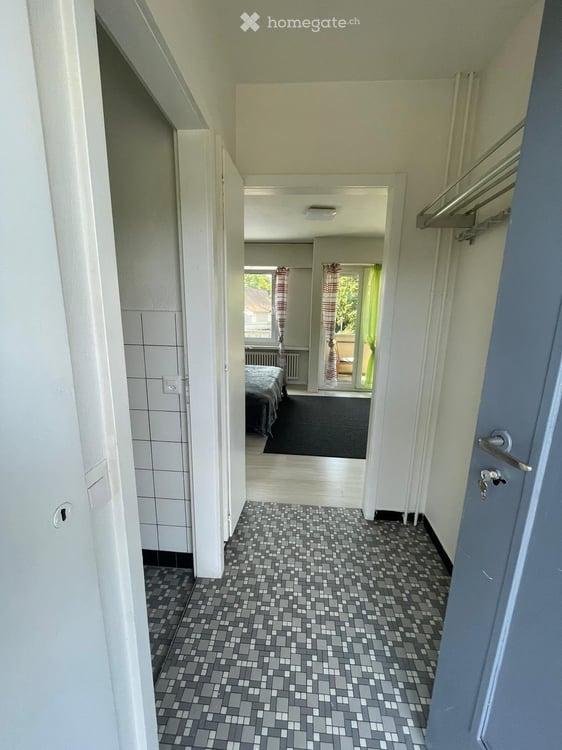 1.5-Zimmer-Apartments in Dietikon 2